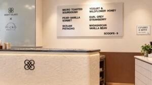 Read more about the article Reception Counters: Surface Ideas That Shape a First Impression